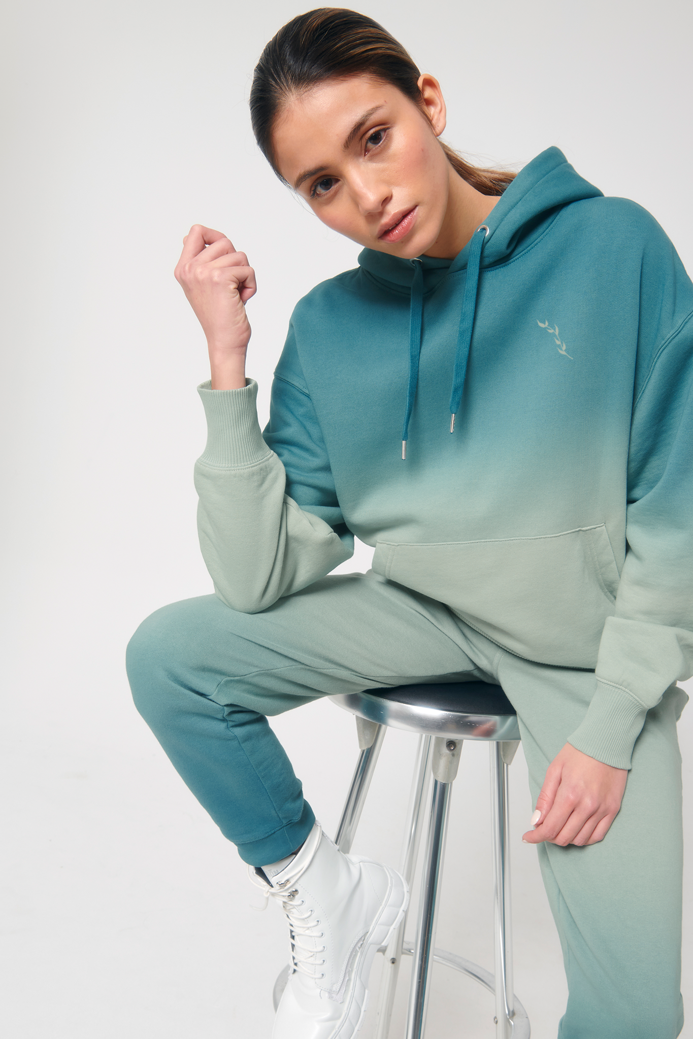 Ombre 2025 hooded sweatshirt